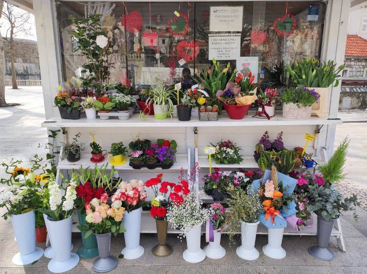 vrtlarponuda 10223 1