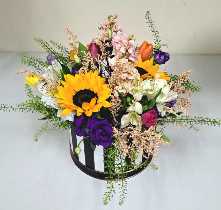 vrtlarponuda 10223 5