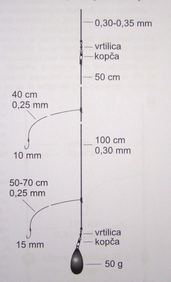 zavrbul0305 2