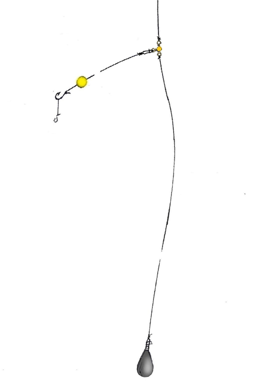 zavrsnjak kovac 310524 min