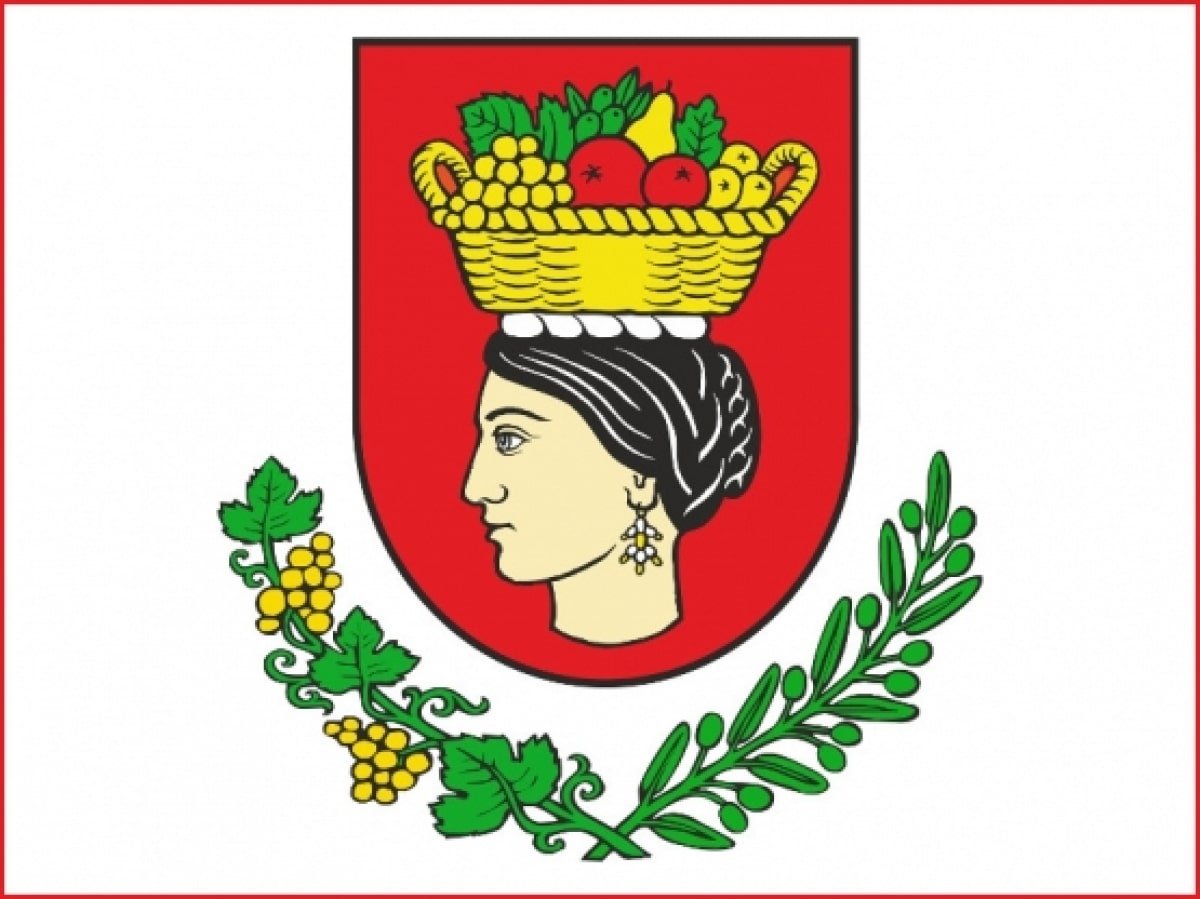 PRIVREMENA REGULACIJA PROMETA U ŽUPI DUBROVAČKOJ