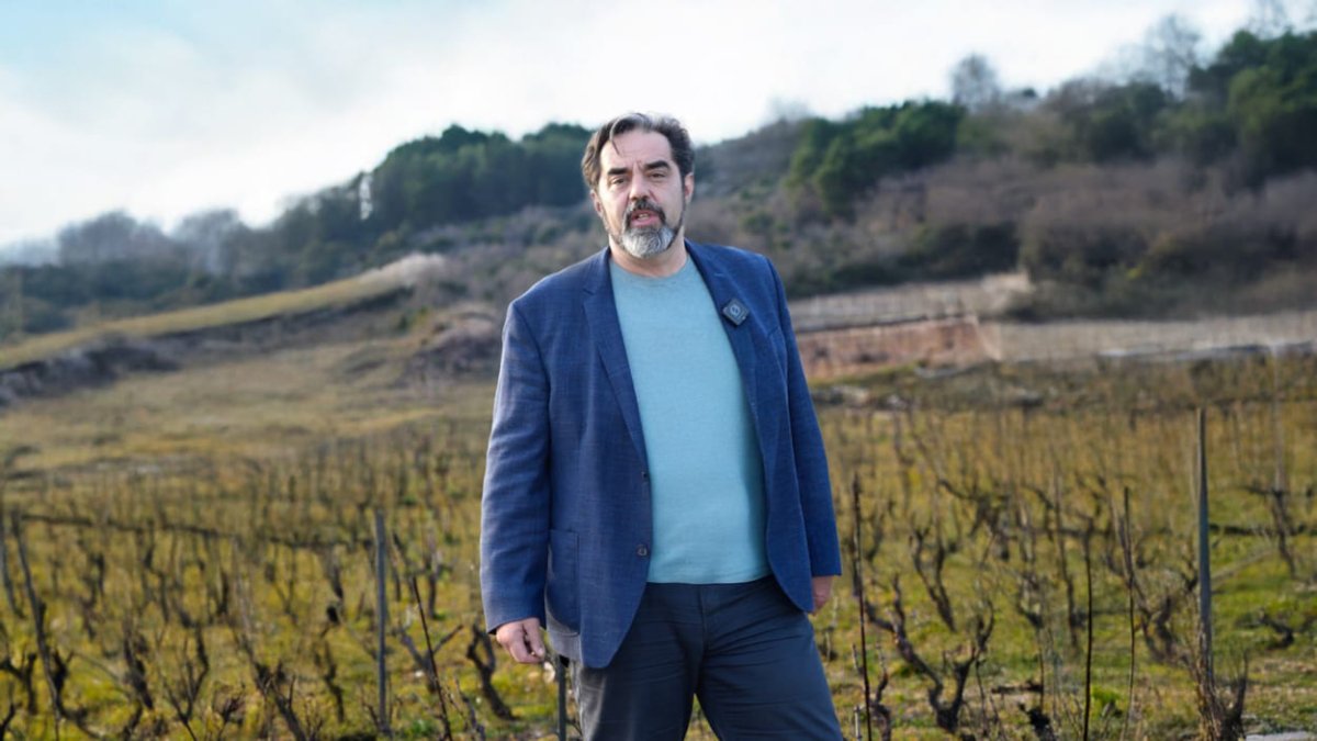 MARKO GILJAČA: SPRIJEČIMO EKOCID VINOGRADA NA PELJEŠCU – SLUŠAJMO GRAĐANE