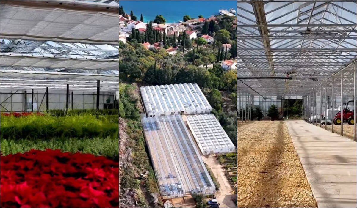 VRTLAR MODERNIZIRAO RASADNIK U ZATONU