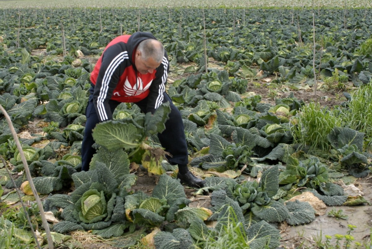 Ili je doma ili u kupusu ili s novinarima, ali do Jamba mogu svi osim suda