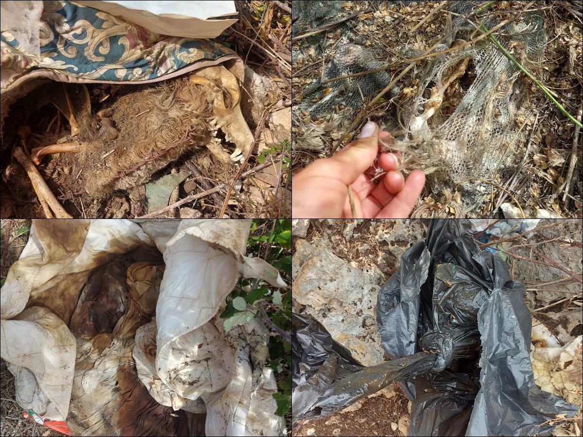 Na Žarkovici pronađeni leševi pasa stari više mjeseci; inspekcija na terenu