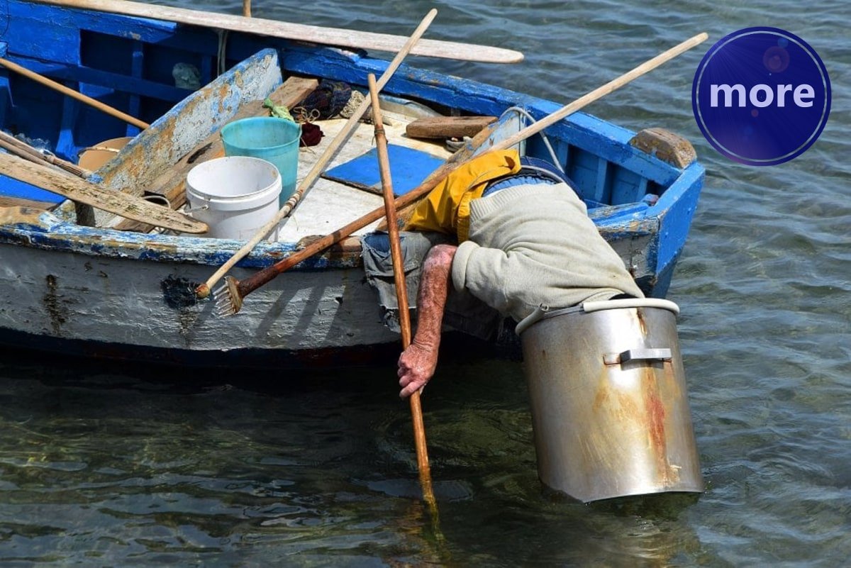 AKO ŽELITE LOVITI SIPE OMOGUĆITE IM DA SE MRIJESTE