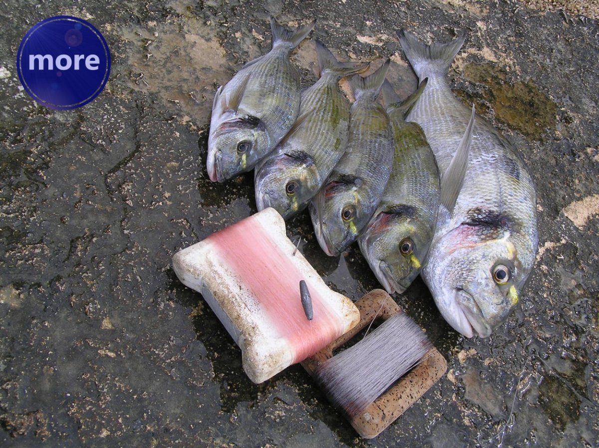 O MATERIJALU ZA IZRADU PREDVEZA NEOPRAVDANO SE MALO VODI RAČUNA, A VAŽNO JE