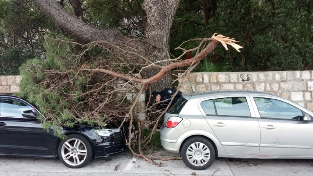 Na Lapadskoj obali odlomila se grana i pala po automobilima