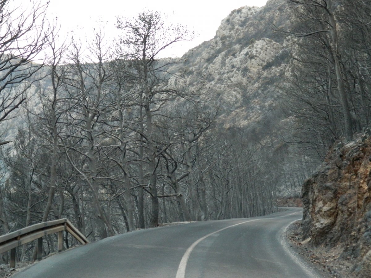 745 nezaposlenih iz cijele Županije javilo se za javne radove, samo njih 28 iz Dubrovnika, najviše iz Metkovića