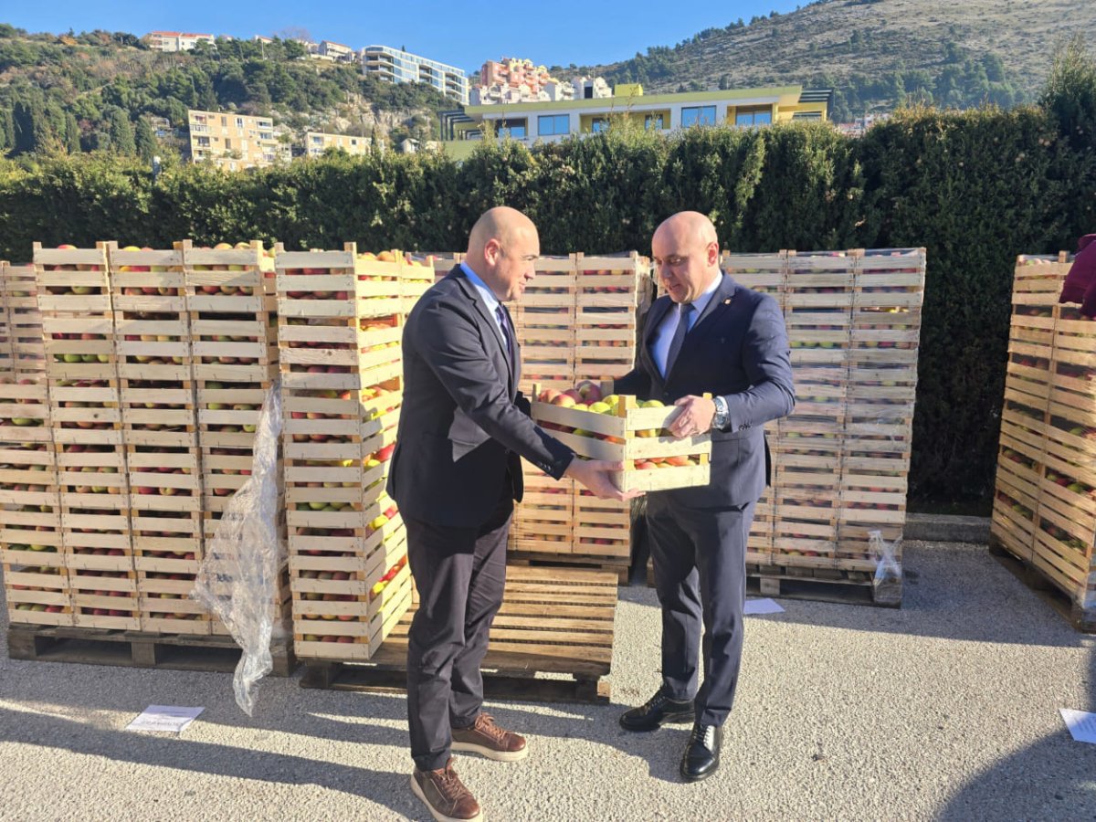 DONACIJA OD DESET TONA JABUKA STIGLA U DUBROVNIK, PODIJELJENA JE UDRUGAMA I USTANOVAMA