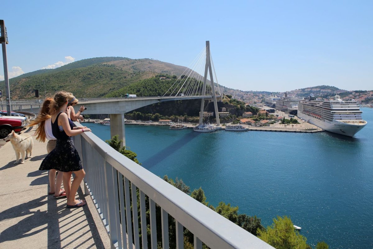 PRIVREMENA REGULACIJA PROMETA NA BATAHOVINI