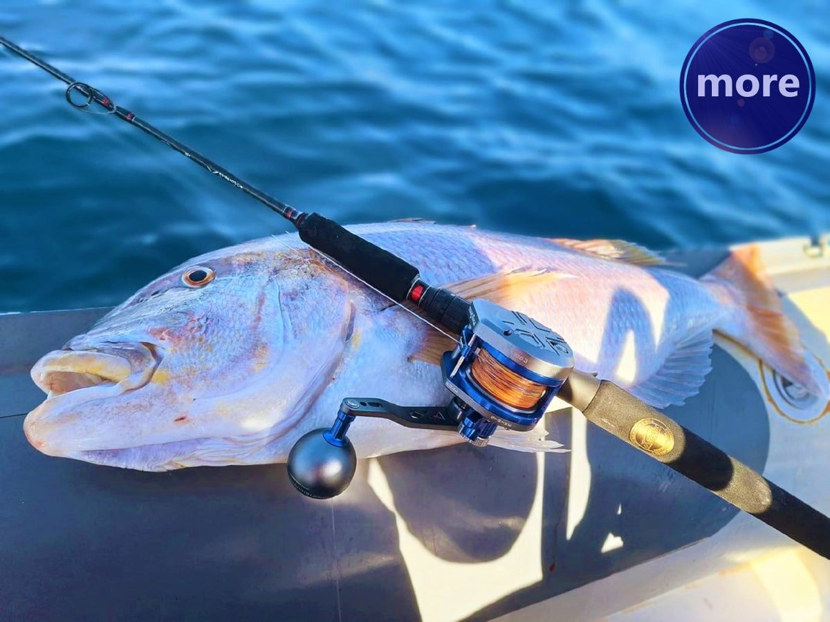 SVE ŠTO TREBATE ZNATI O MULTIPLIKATORIMA (2)