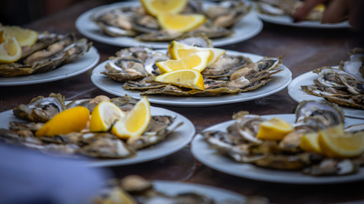 DANI MALOSTONSKE KAMENICE U MALOM STONU I BRIJESTI OD 19. DO 22. OŽUJKA