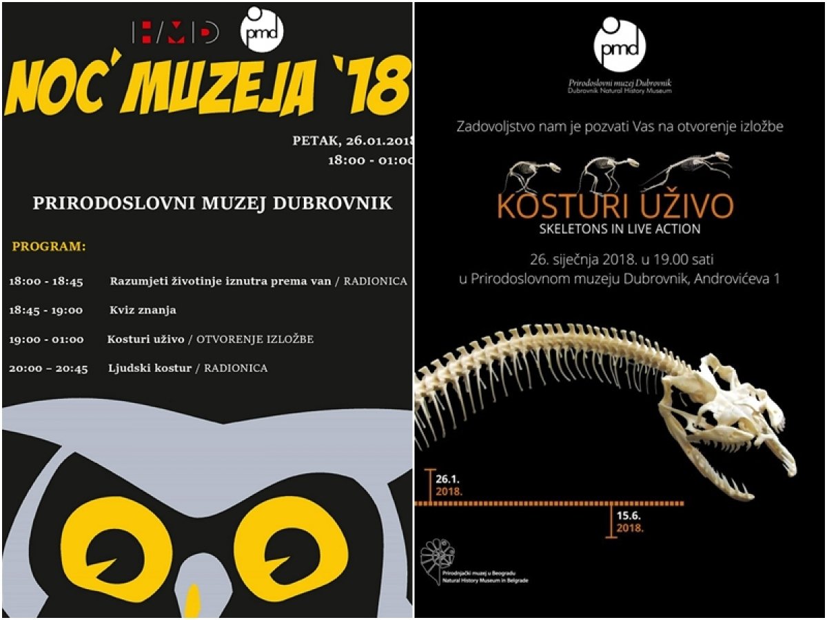 Noć muzeja u Prirodoslovnom muzeju Dubrovnik