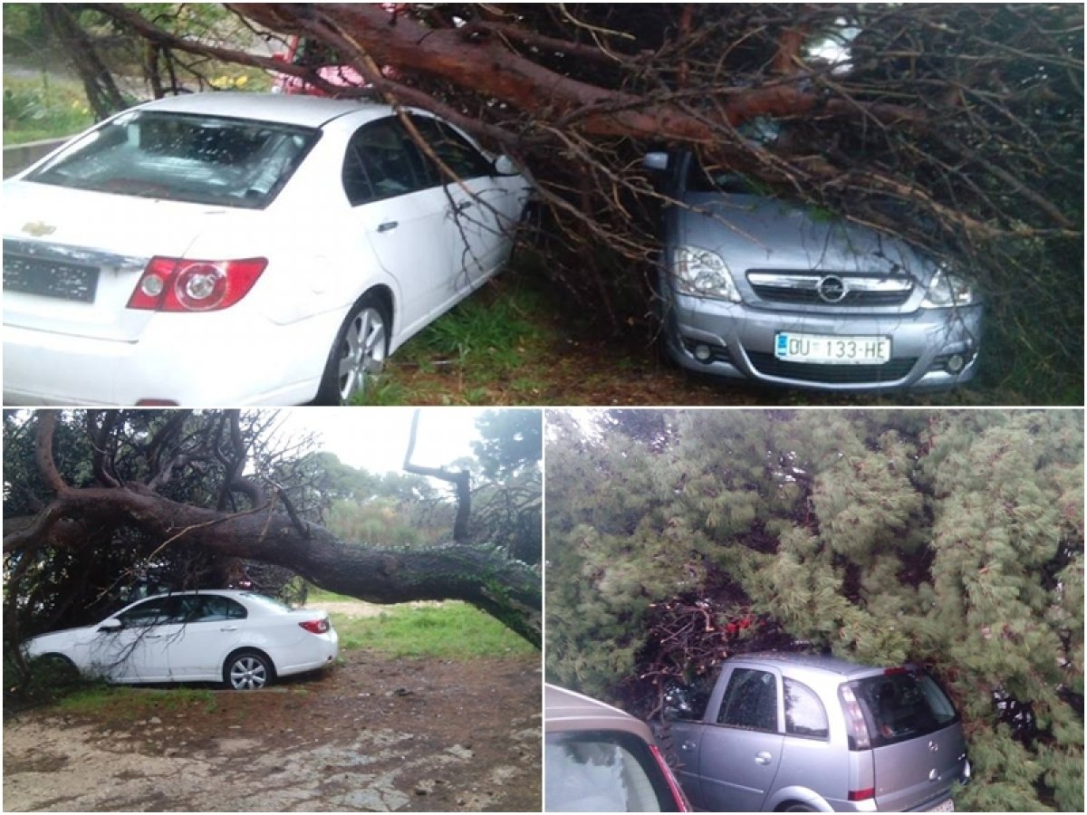 Na Medarevu stablo „poklopilo“ dva automobila, u jednom se nalazila ženska osoba