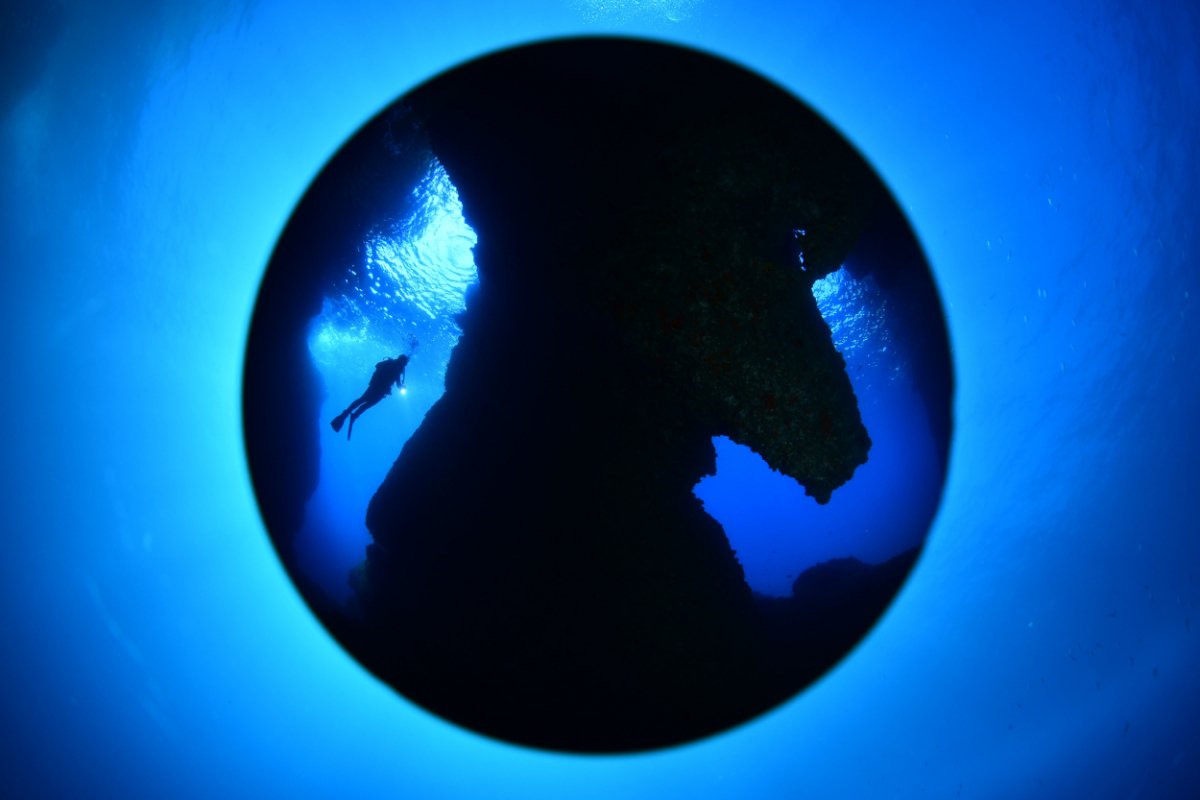 Damir Zurub pobjednik je Otvorenog prvenstva Hrvatske u podvodnoj fotografiji održanog u Dubrovniku