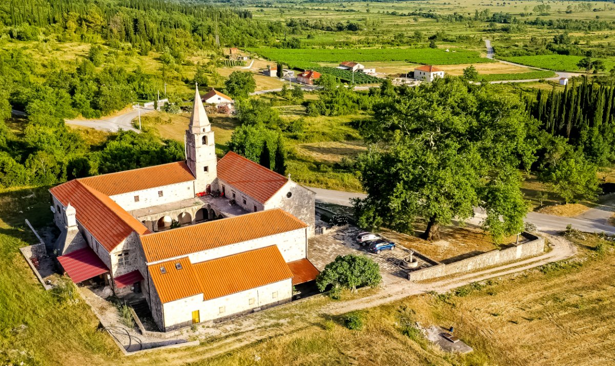 Tri impozantna stabla predstavljala su Dubrovačko – neretvansku županiju u izboru Hrvatsko stablo godine