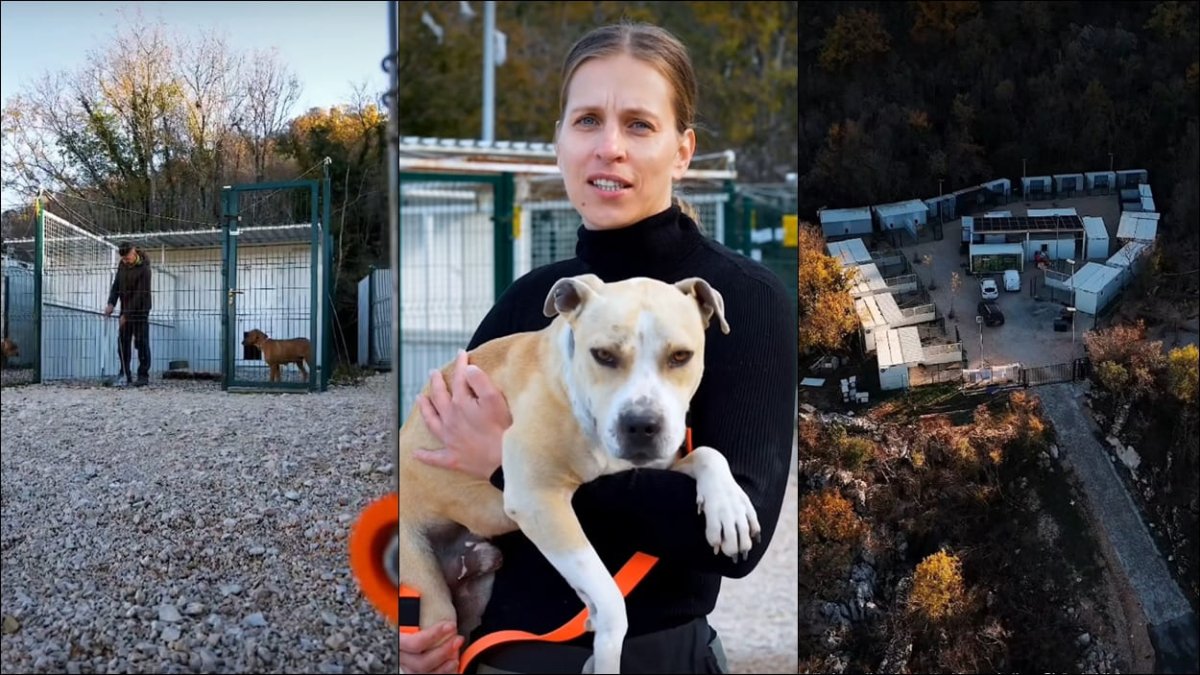 Video / GODINU DANA RADA AZILA DUBROVNIK