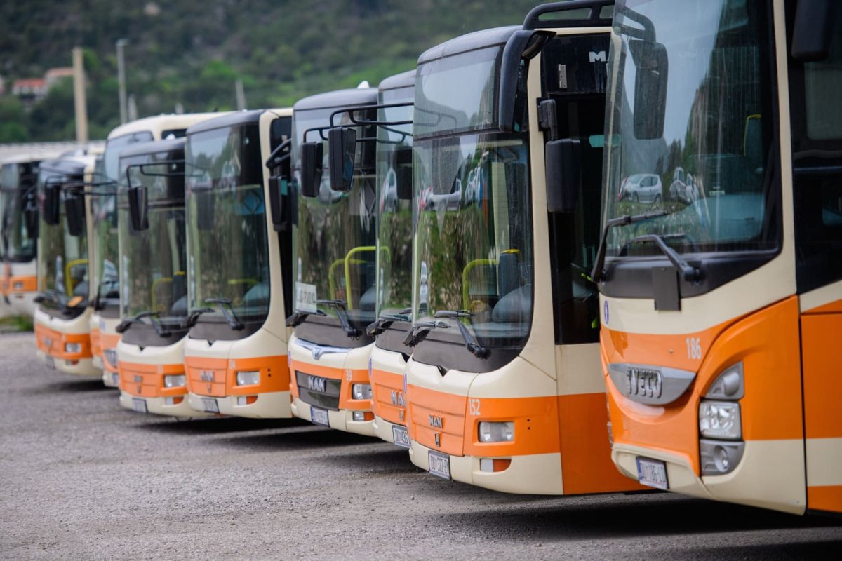 VIKTORIJA KNEŽEVIĆ PREDLAŽE REFORMU AUTOBUSNIH LINIJA