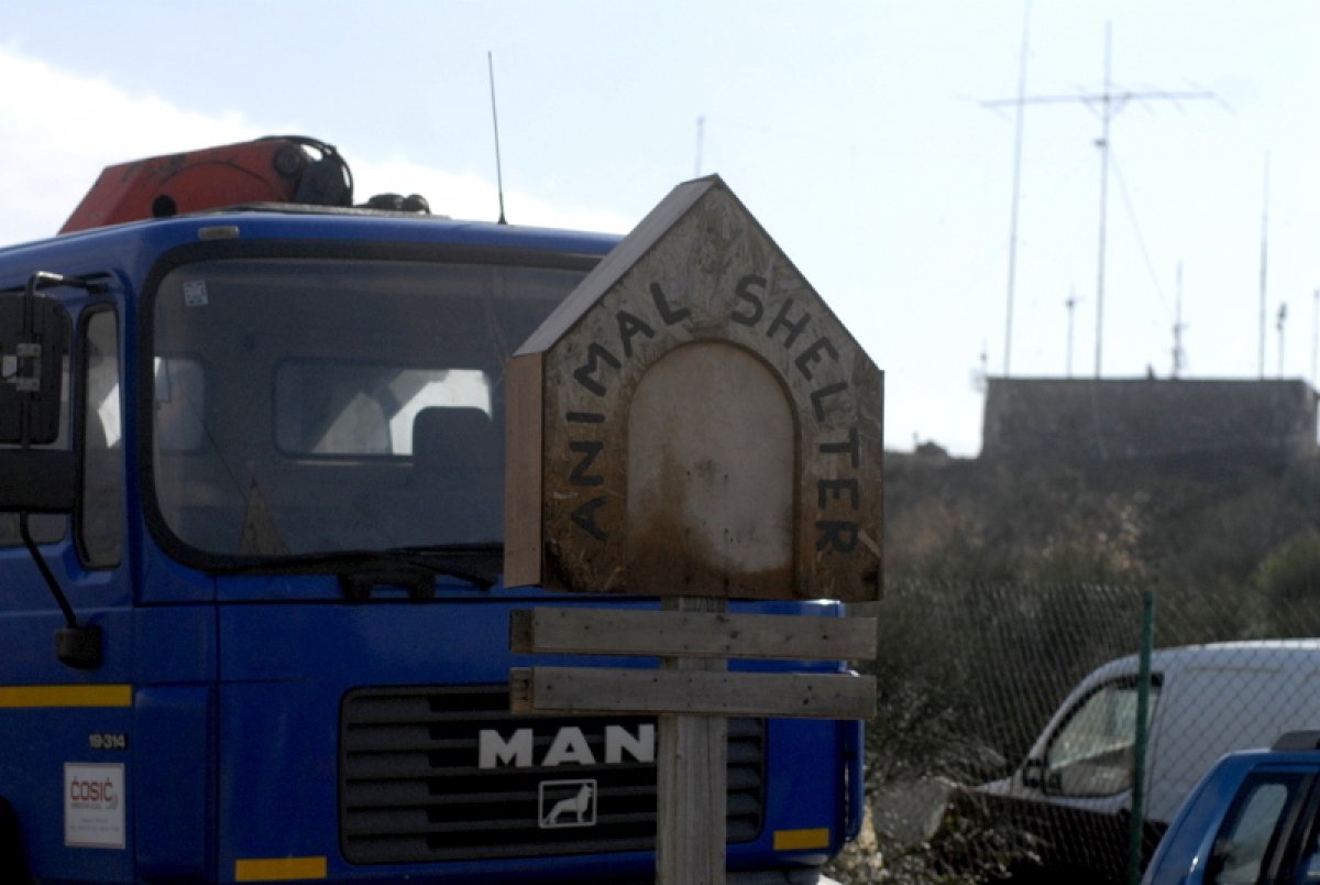 Između očekivanja jednih i mogućnosti drugih: Azil spoticanja