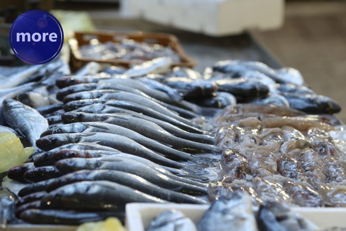 KAKO DUGO ČUVATI RIBU BEZ SMRZAVANJA