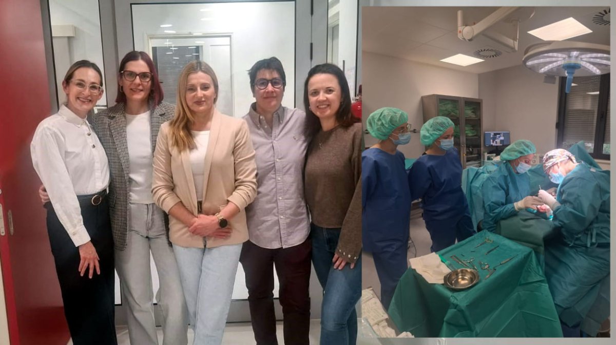 IZVEDENI PRVI KIRURŠKI ZAHVATI SINDROMA KARPALNOG KANALA U DNEVNOJ BOLNICI METKOVIĆ