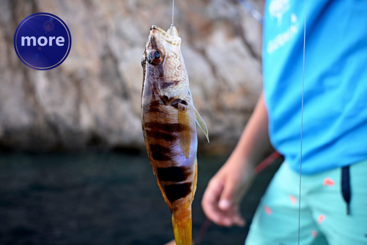 ŠTO SU TO KOPOLIMER STRUNE