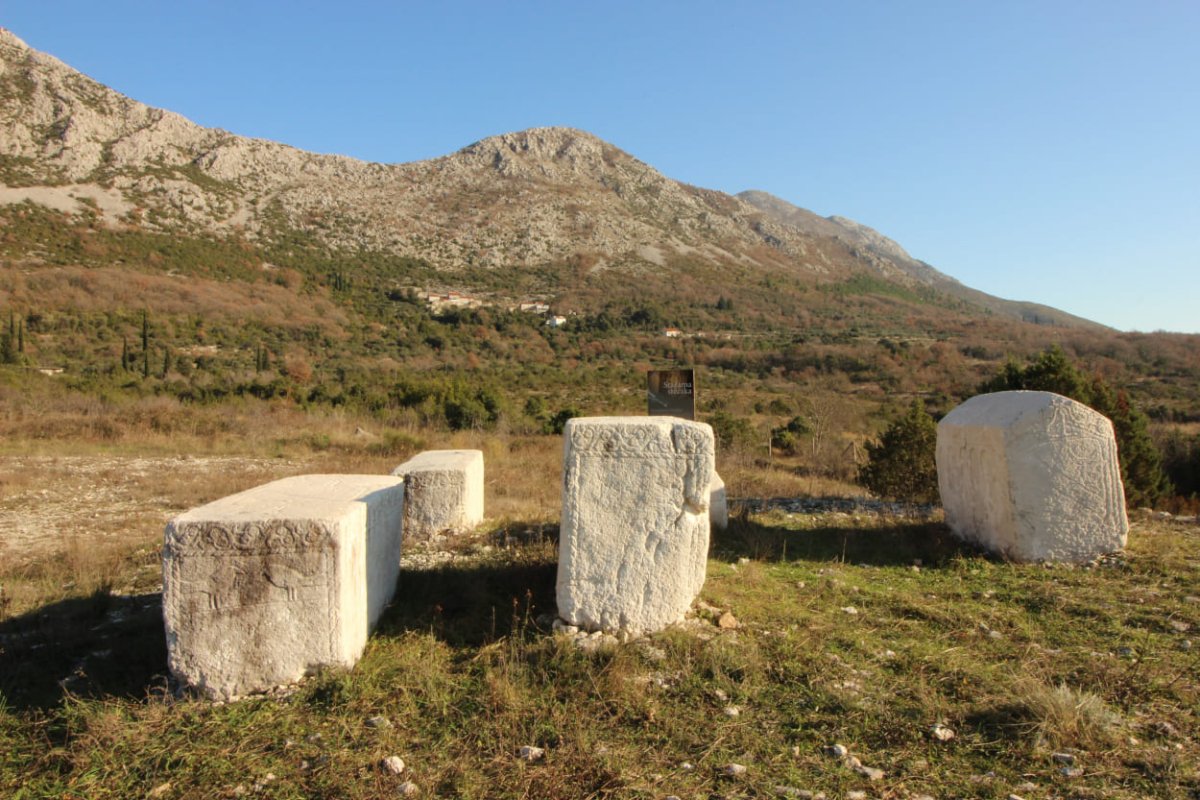 DR. SC. DOMAGOJ PERKIĆ O STEĆCIMA U ČEPIKUĆAMA