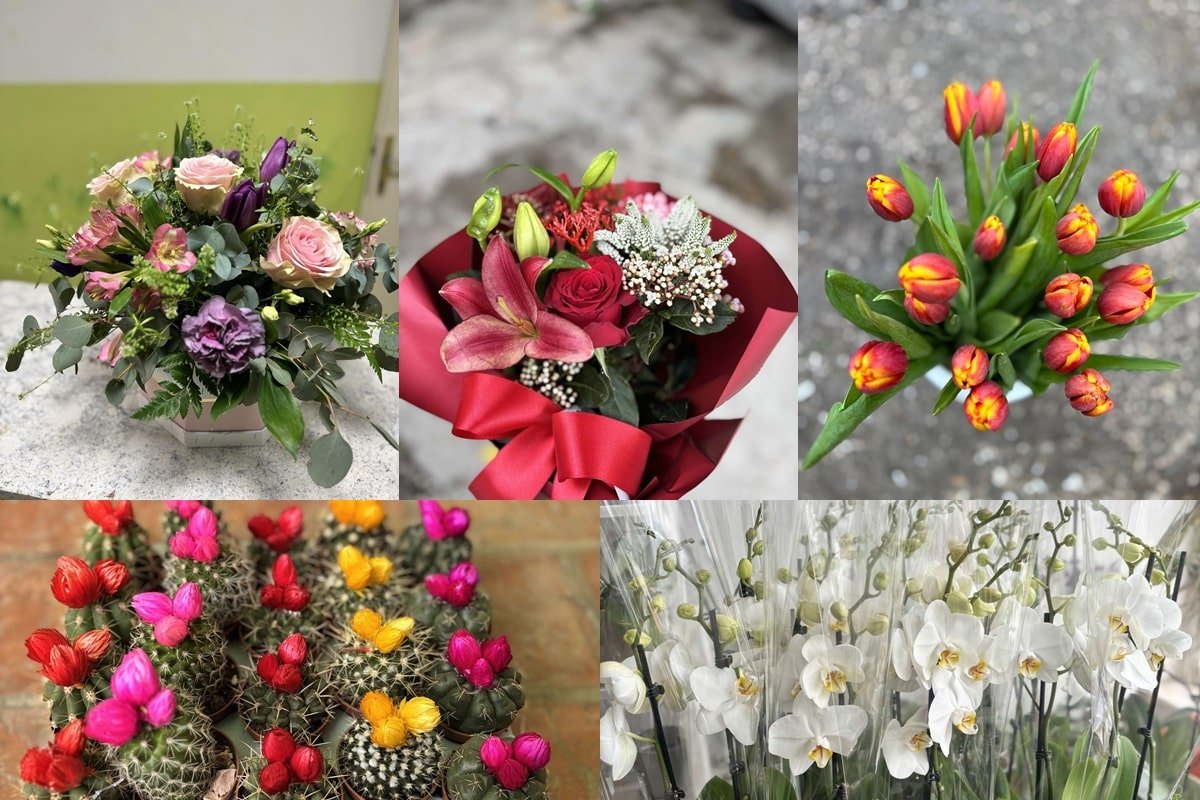 DOLAZI DAN ŽENA, EVO ŠTO NUDI VRTLAR