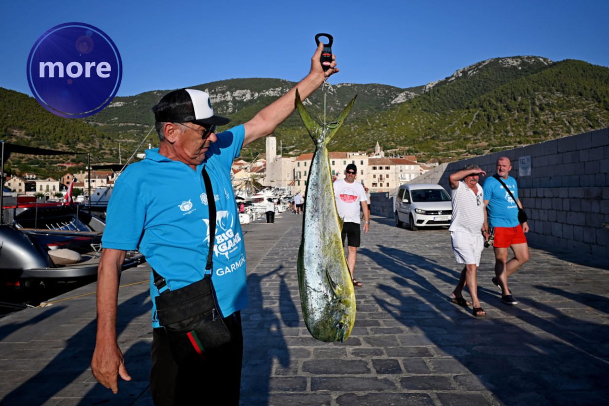 SVE BOJE LAMPUGE, KAD I ZAŠTO IH MIJENJA