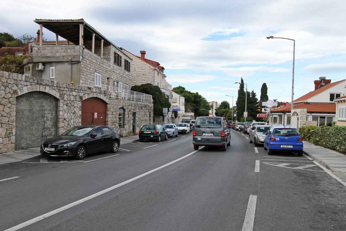 NAKON BULEVARA I GRUŠKE RIVE POSADIT ĆE SE I DRVORED U ULICI IVA VOJNOVIĆA