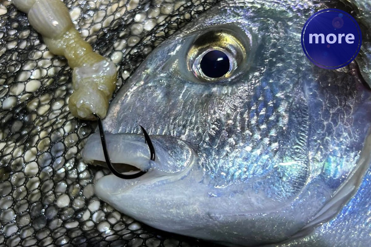 ZAMRZAVANJE BIBIJA I KAKAV JE TAKAV KAO JEŠKA