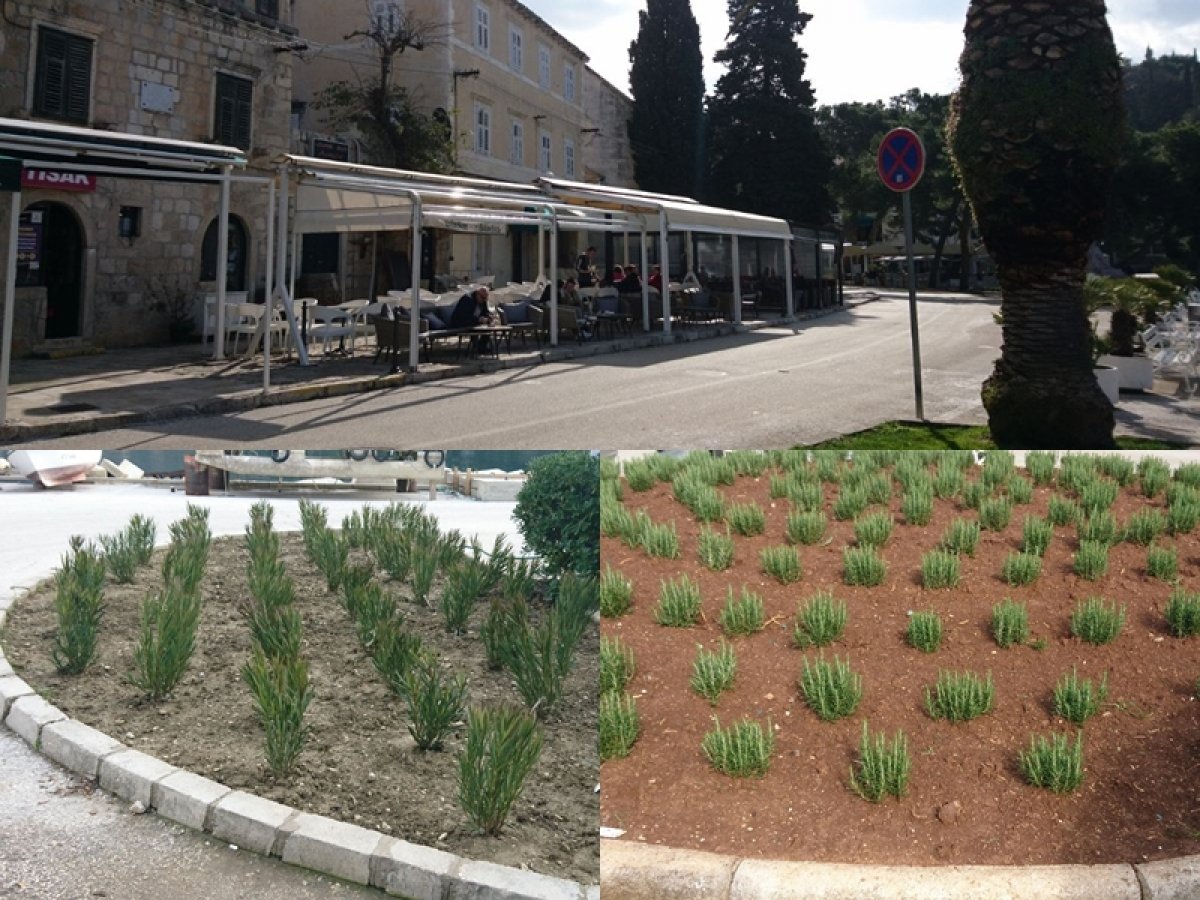 Općina Konavle krenula u uređenje Cavtata za sezonu; popusti svim ugostiteljima koji budu radili zimi