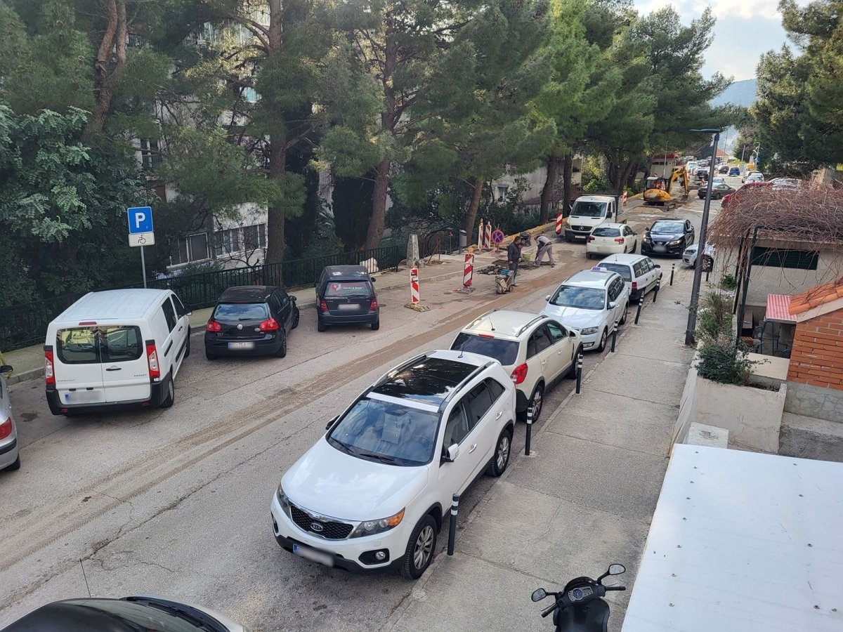 BOROVI U ULICI BARTOLA KAŠIĆA PREDSTAVLJAJU OPASNOST, ZAMIJENIT ĆE SE KOŠĆELAMA