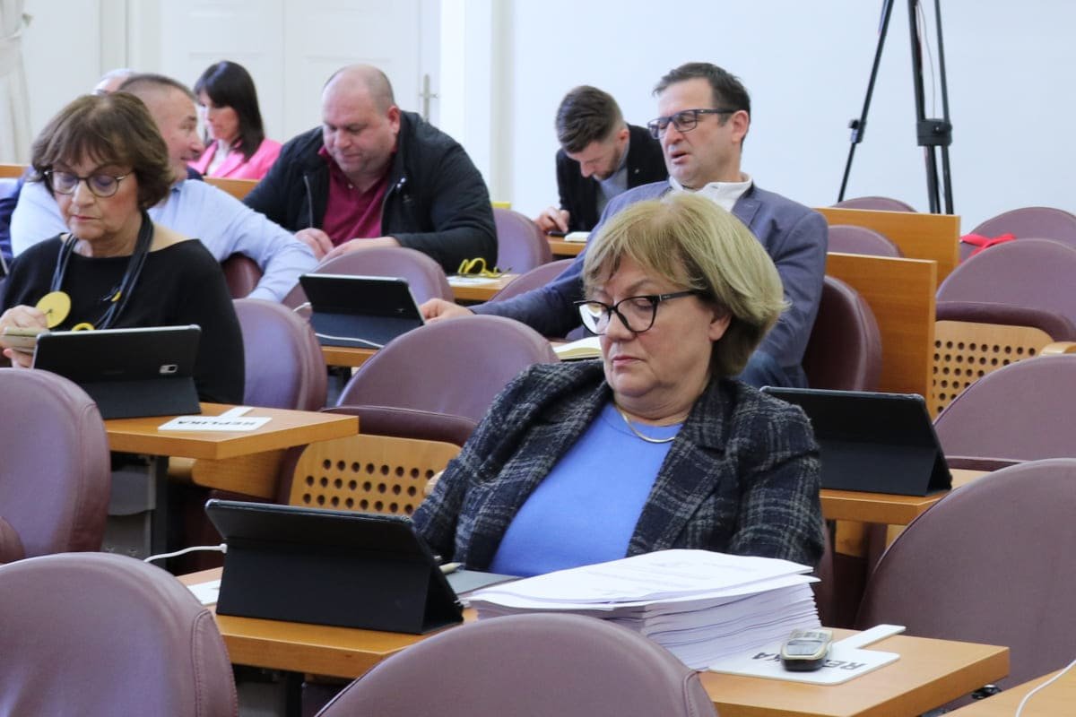 JEDNA OSOBA U ŽUPANIJSKOJ SKUPŠTINI, DRUGA U GRADSKOM VIJEĆU