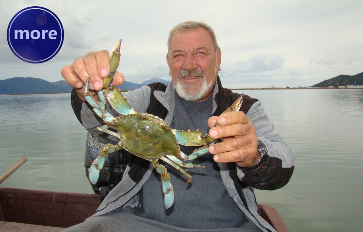 PLAVI RAK JE ODLIČAN MAMAC ZA LOV HOBOTNICA