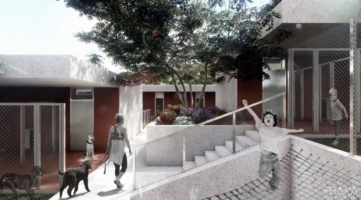 OSNOVANA USTANOVA ZA SKRB O NAPUŠTENIM ŽIVOTINJAMA, SKLONIŠTE GOTOVO U KOLOVOZU