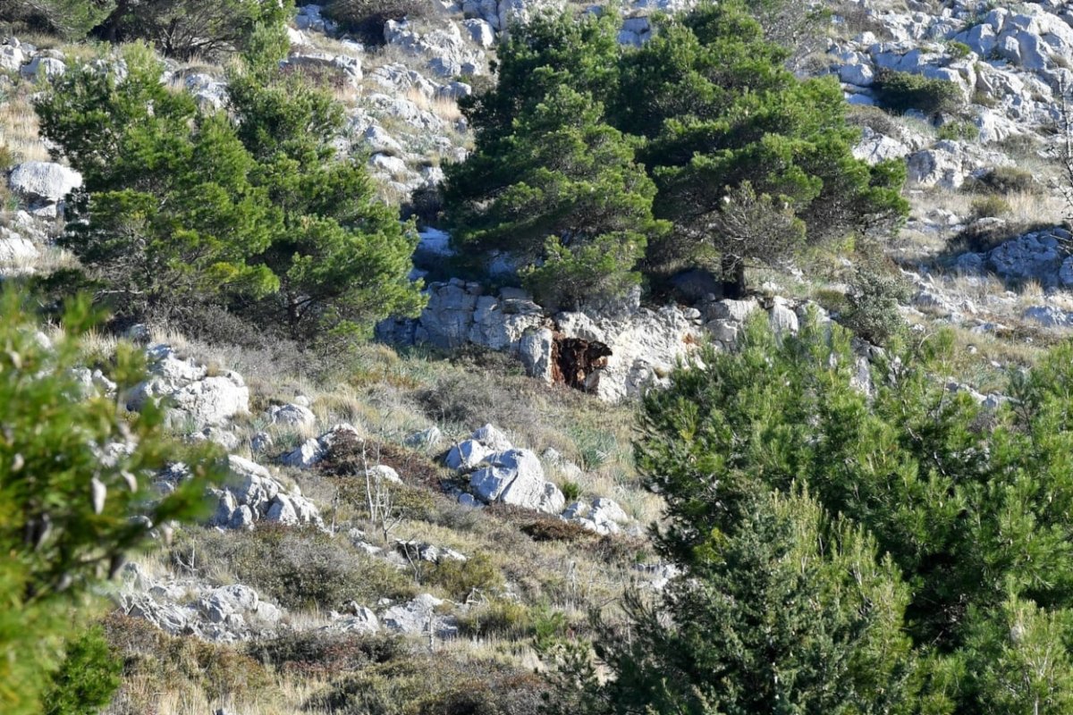 NAKON TRAGEDIJE VLADA DONIJELA ZAKLJUČAK O HITNOJ SANACIJI PADINA SRĐA