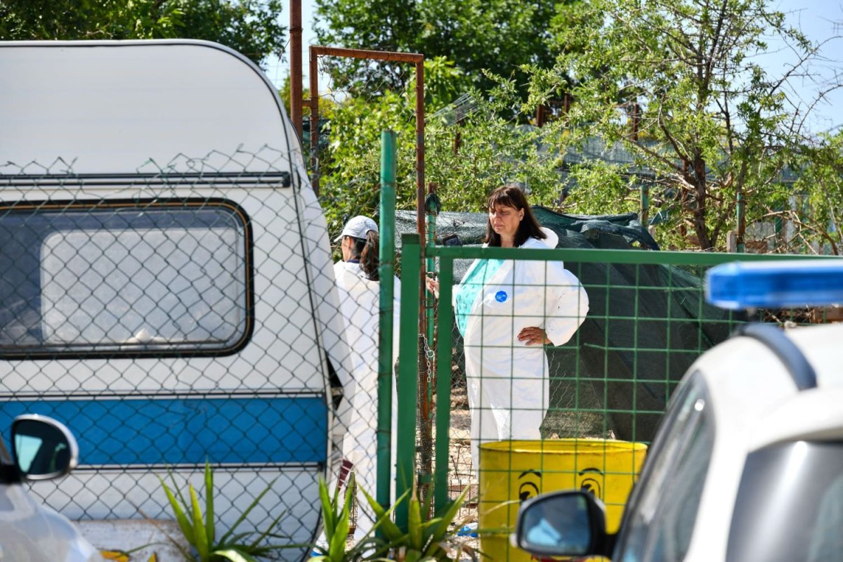 GRADONAČELNIK FRANKOVIĆ: INSPEKTORI SU POVRAĆALI NA ŽARKOVICI; INDIVIDUALCI SU SAMI KASTRIRALI PSE