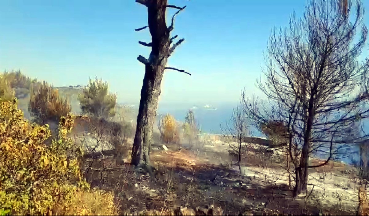 POŽAR NA SRĐU / VIDEO S BOSANKE