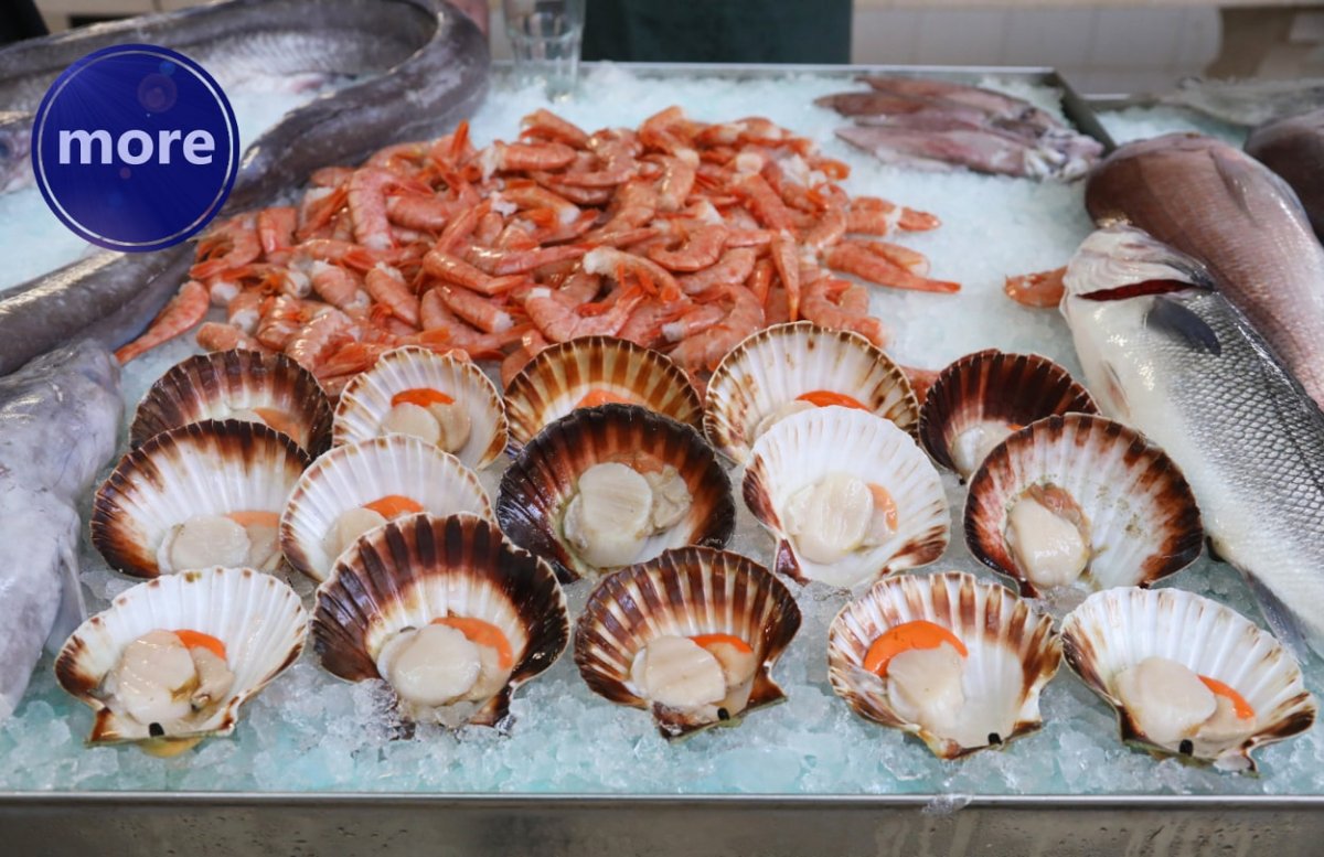 MNOGI JE RADIJE JEDU NEGO NUDE KAO MAMAC, ALI NEPCE MOŽE UŽIVATI U JAKOBOVOJ KAPICI, A DA I ZA JEŠKU NEŠTO OSTANE