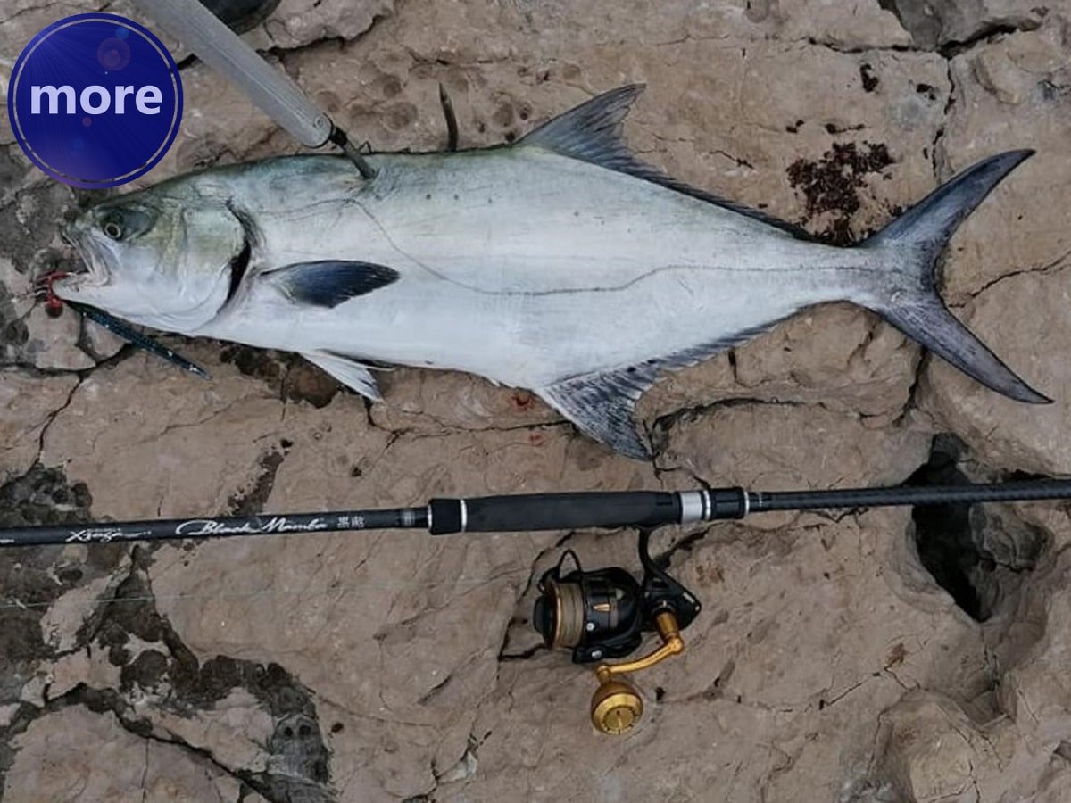 KRUPNIJE LUTALICE PRIBLIŽILE SU SE OBALI, SAD JE VRIJEME ZA VARALIČARENJE