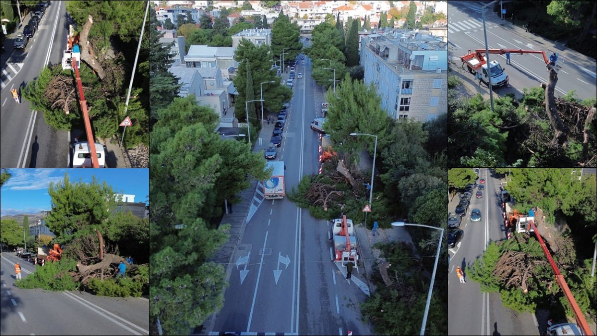 POČELI RADOVI NA BULEVARU, POSADIT ĆE SE 32 ODRASLA BRIJESTA