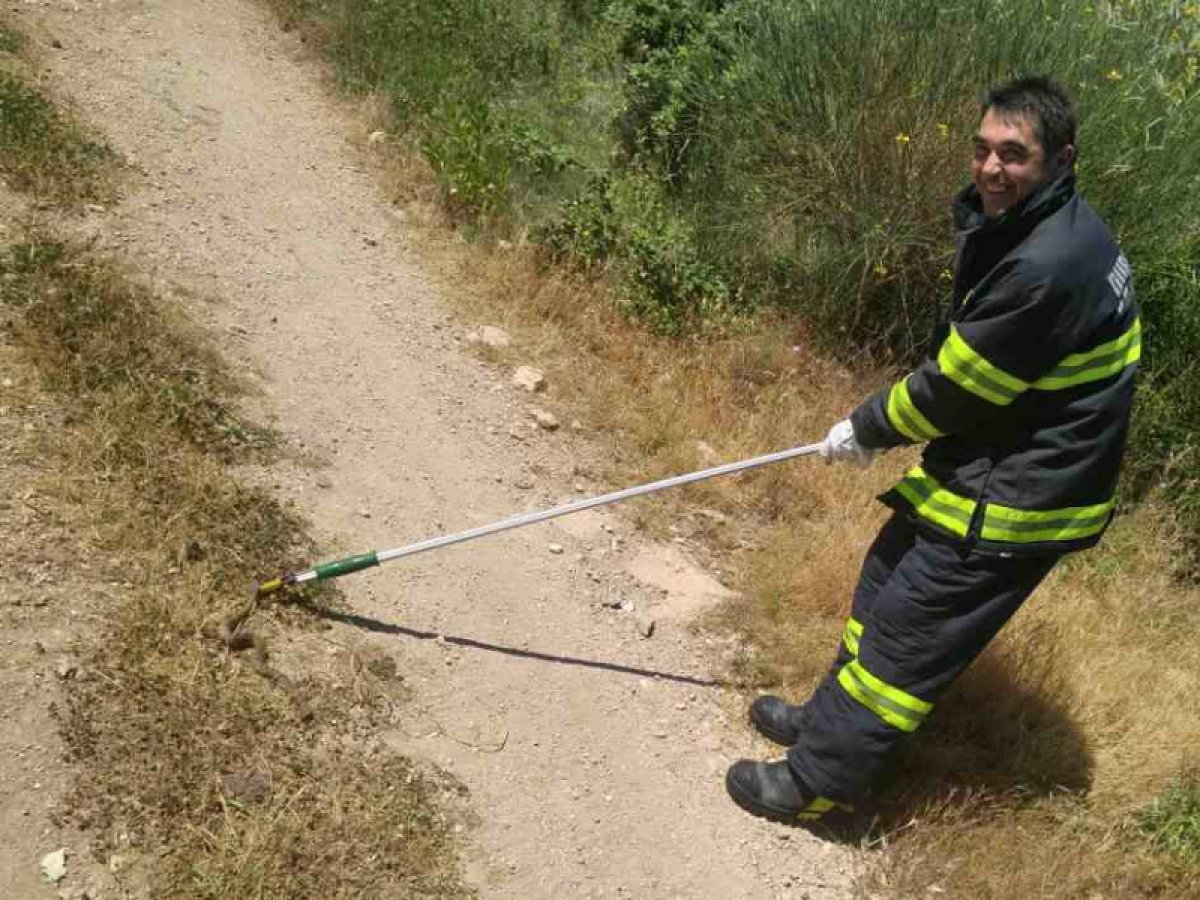 Dubrovački vatrogasci u Šipčinama intervenirali zbog poskoka
