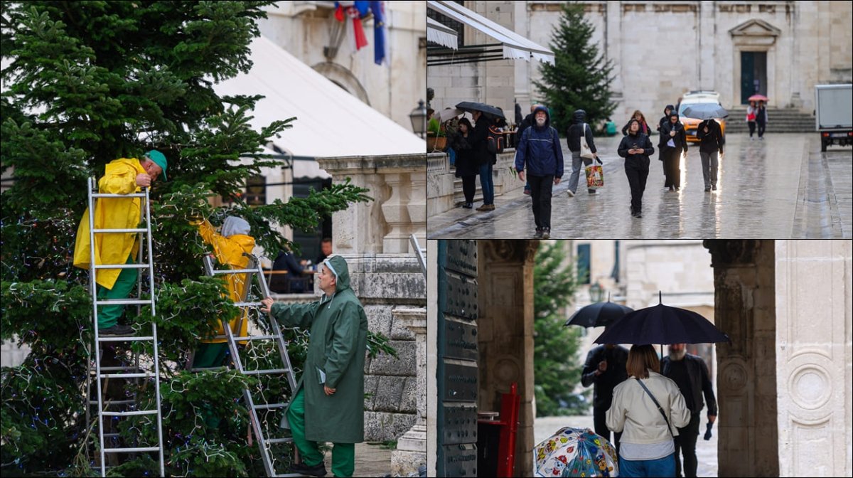 Foto / STIGLE JELKE U GRAD