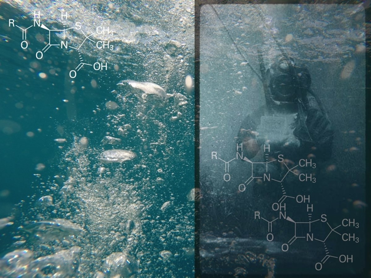 Kakav „kemijski otisak“ ostavljamo u moru odgovara projekt „Aqua forensic“