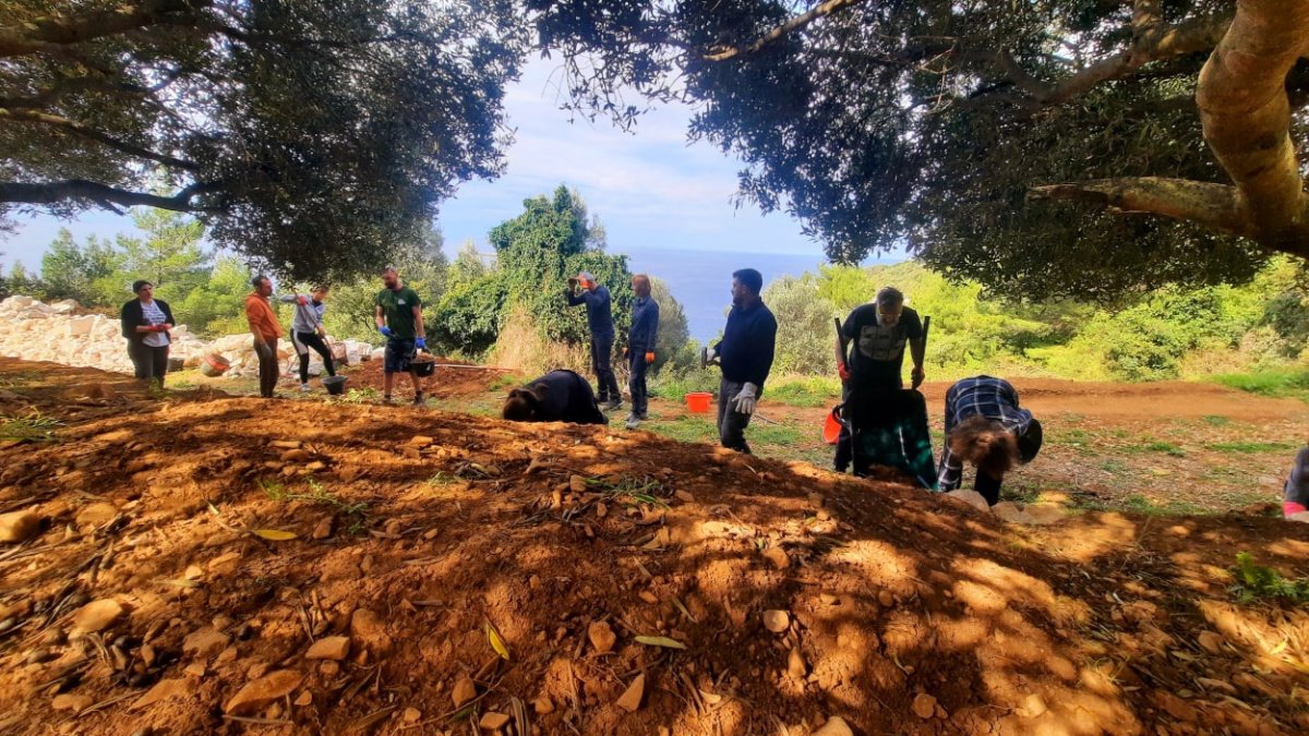 „MLJETSKE KOZE” OBNAVLJAJU SUHOZIDE