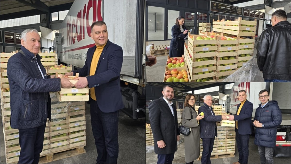 U GRUŽ I OVE GODINE STIGLA DONACIJA JABUKA