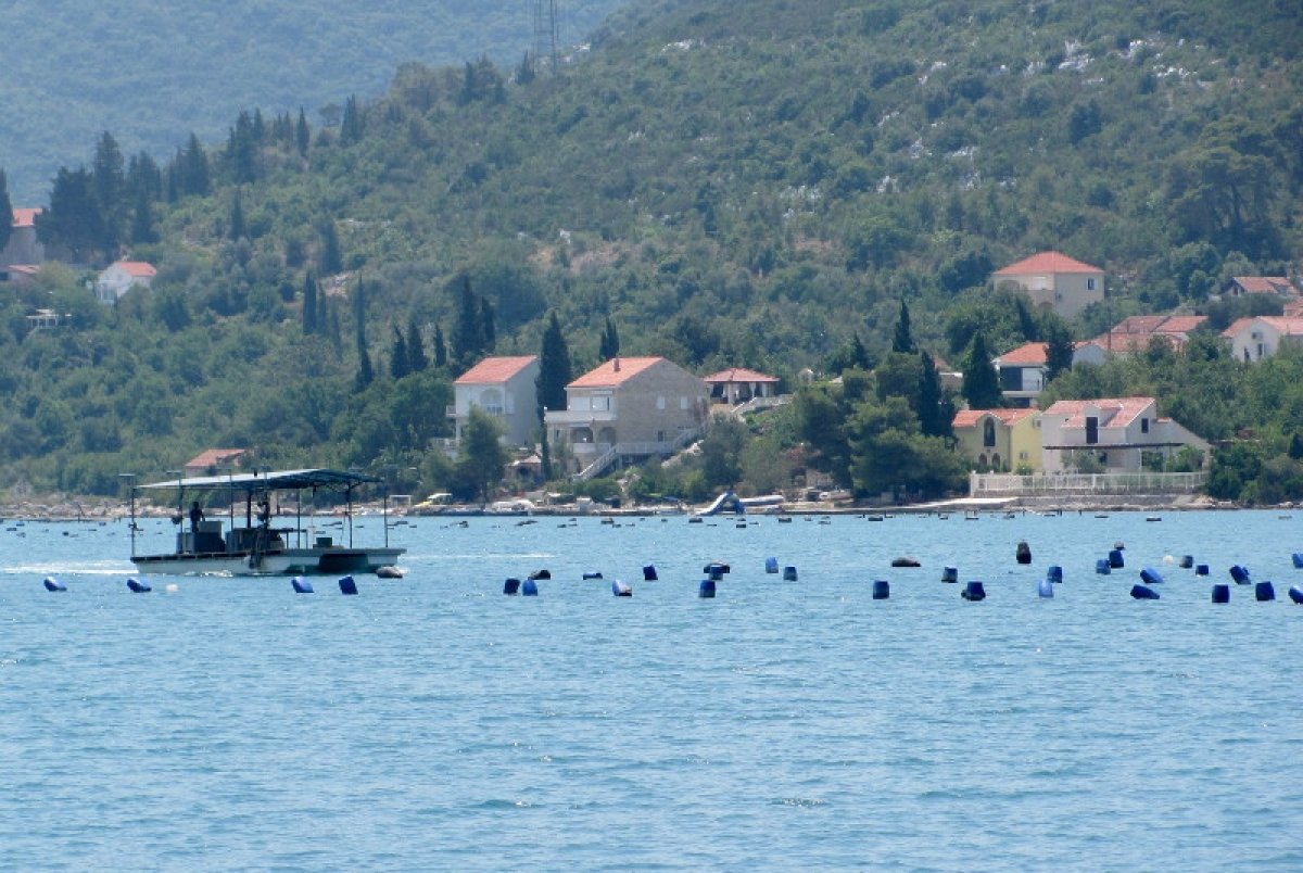 Ministarstvo oformljuje radnu skupinu oko utjecaja na okoliš projekta turističkog kompleksa u Dubi Stonskoj