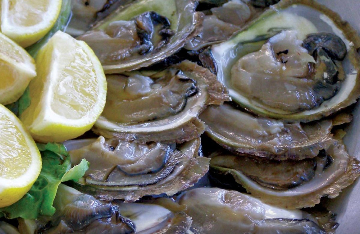 Festa od kamenica u subotu na Stradunu